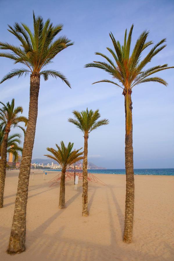 Ibis Hotel Alicante Exterior photo